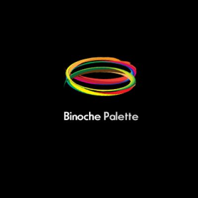 Binoche Palette Logo Design