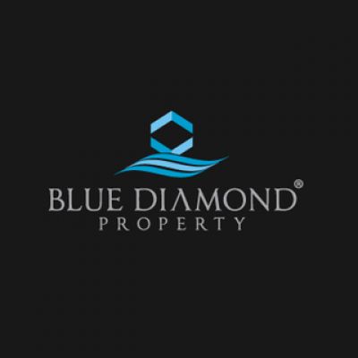 Blue Diamond Logo Design