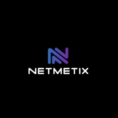 Netmetix Logo Design