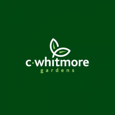 C-whitmore Gardens Logo Desing