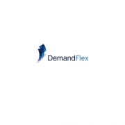 DemandFlex Logo Design