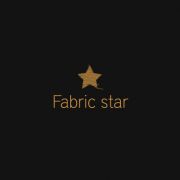 Fabric Star Logo Design