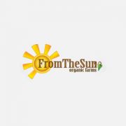 From the Sun Logo Design