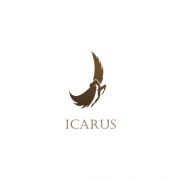 Icarus Logo Design