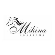 Mikina Logo Design
