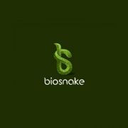 Biosnake Logo Design