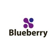 BlueBerry Logo Design