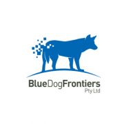 BlueDogFrontiers Logo Design
