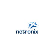 Netronix Logo Design