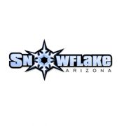 Snowflake Logo Design